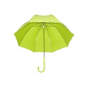 Зонтик рябины детей (BD-15)